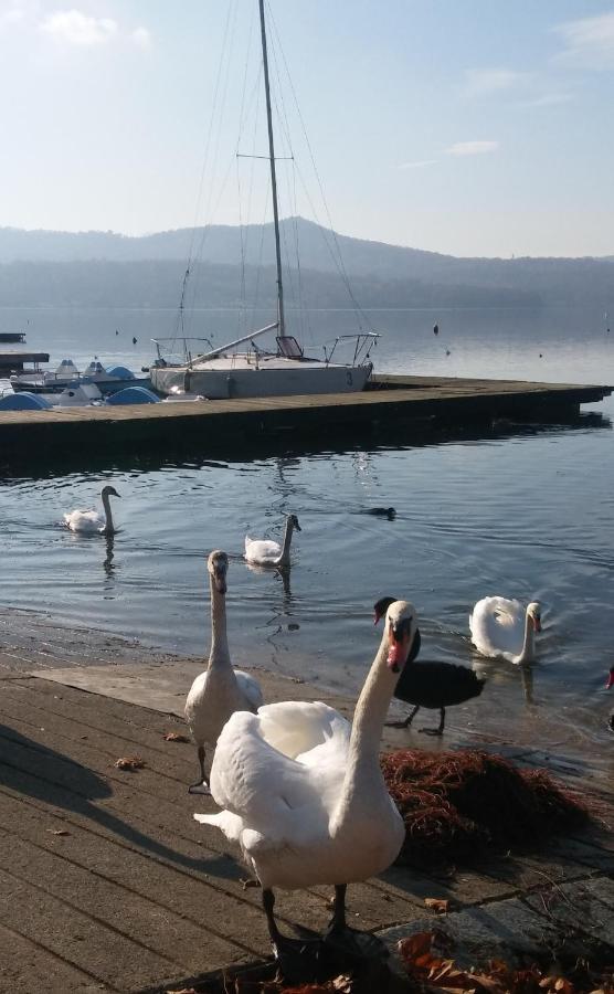 Appartamento Doppi Bagni Sei Posti Letto Viverone Zewnętrze zdjęcie